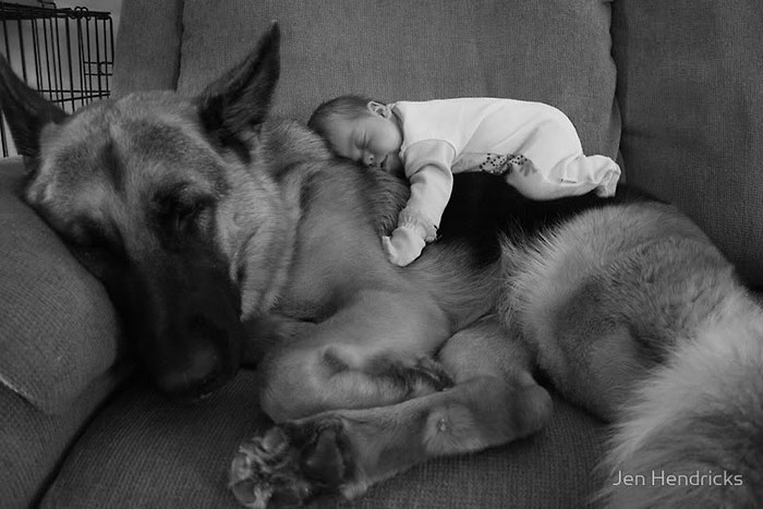30 όμορφες φωτογραφίες μικρών παιδιών με μεγάλους σκύλους